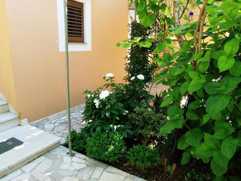 מאלי לוסיניי Apartments Beba חדר תמונה