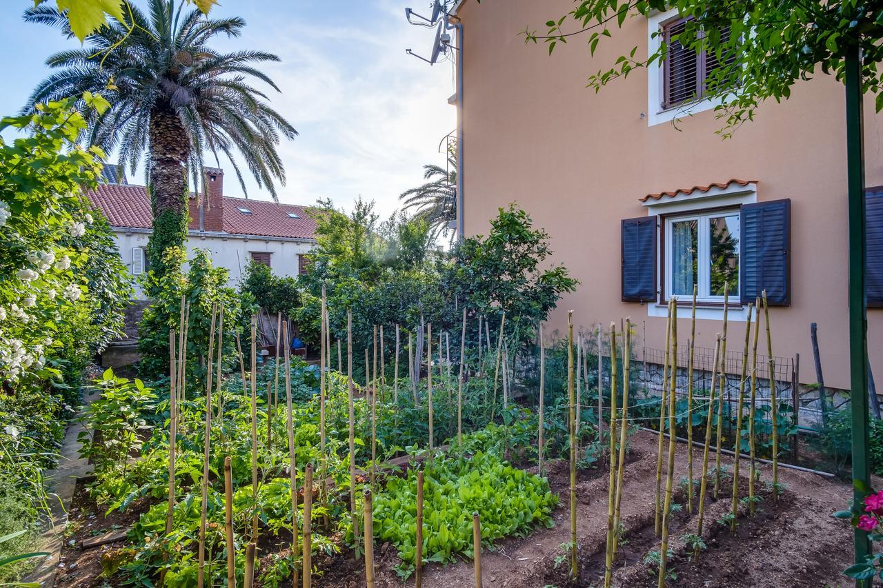 מאלי לוסיניי Apartments Beba מראה חיצוני תמונה